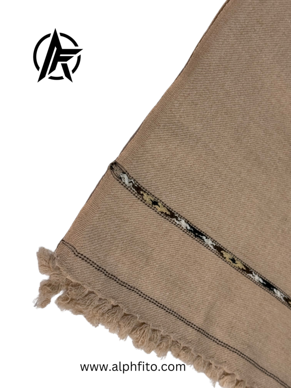 Shah-e-Karishma – Taupe Pashmina Shawl - Image 3